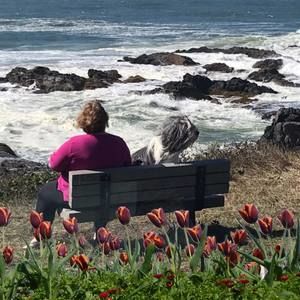 Meet your Posher, Julie